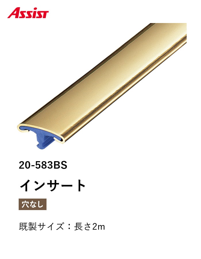 カーペット見切り 真鍮 インサート 20-583BS 既製サイズ 2m
