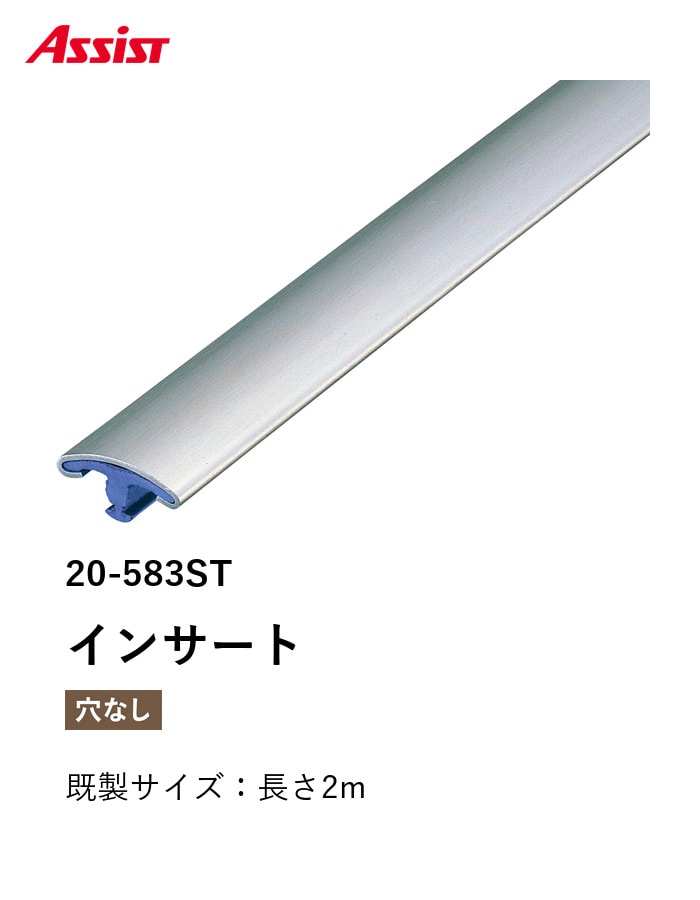 カーペット見切り ステンレス インサート 20-583ST 既製サイズ 2m