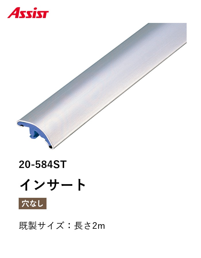 カーペット見切り ステンレス インサート 20-584ST 既製サイズ 2m